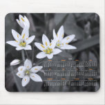 Wildflower Cluster Photography 2012 Calendar Mouse Pad