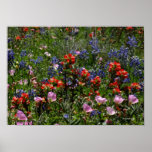 Wildflower Dreams Posters