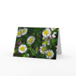 Wildflower Greeting Card