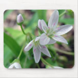 Wildflower mousepads