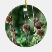 Wildflower seed heads christmas ornament