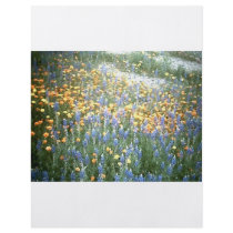 WILDFLOWERS 1 FLYER