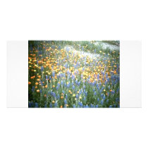 WILDFLOWERS 1 PHOTO GREETING CARD