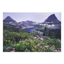 Wildflowers and Hidden Lake, Shrubby Art Photo
