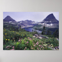 Wildflowers and Hidden Lake, Shrubby Print