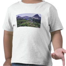 Wildflowers and Hidden Lake, Shrubby Tees