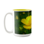 Wildflowers Art Coffee Cup Buttercup Flower Cup mugs