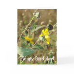 Wildflowers Birthday Cards