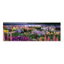 Wildflowers Bookmark business cards
