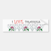 Wildflowers bumper sticker