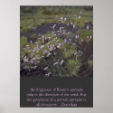 wildflowers posters