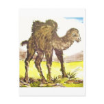 Wildkamel, Wild Camel * Tierkunst * Animal-ARTcard Postkarte