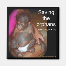 Wildlife Babies: Save the orphans Refrigerator Magnet
