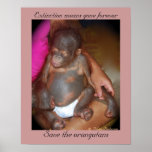 Wildlife Babies: Save the orphans posters
