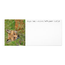 Wildlife Business Cards Rack Card Design