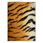 Wildlife Cards Series