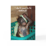 Wildlife Conservation Pouty Baby cards