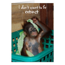 Wildlife Conservation Pouty Baby Card