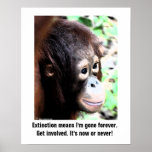 Wildlife Extinction poster posters