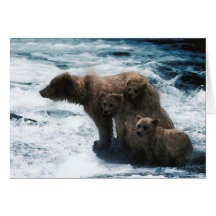 Wildlife-Family of grizzlies Greeting Cards