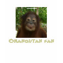Wildlife Fan t-shirts