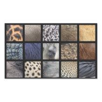 Wildlife Fur, Feathers and Scales