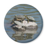 Wildlife Magnet