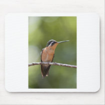 wildlife mousepad