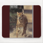 wildlife mouse mats