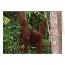 Wildlife New Baby card