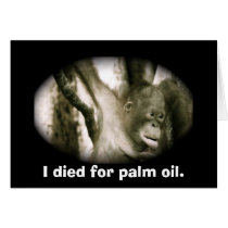 Wildlife Note Card: I Died for Palm Oil