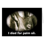Wildlife Note Card: I Died for Palm Oil