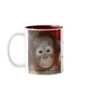 Wildlife Rainforest Charity mugs