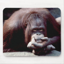 Wildlife Set - Primates 10 Mousemats