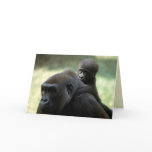 Wildlife Set - Primates 11 cards