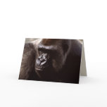 Wildlife Set - Primates 13 cards