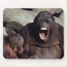 Wildlife Set - Primates 1 Mouse Pad