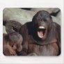 Wildlife Set - Primates 1 Mouse Pad