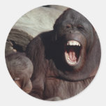 Wildlife Set - Primates 1 Round Stickers