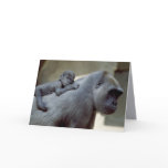 Wildlife Set - Primates 3 cards