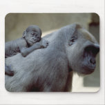 Wildlife Set - Primates 3 mousepads