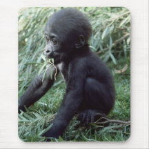 Wildlife Set - Primates 8 Mouse Mat