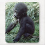 Wildlife Set - Primates 8