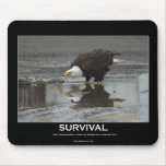Wildlife Warriors - BALD EAGLE mousepads