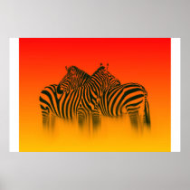 Wildlive