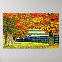 Wilds 12 Crayon posters