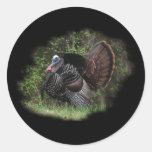 WildTurkey on the prowl Round Stickers