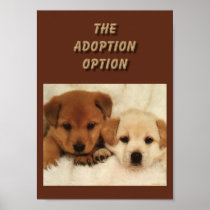Will adoption be your first option?? posters
