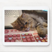 Will work for a catnip mouse pads