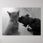 Will You Be My Friend? Poster